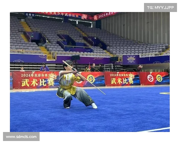 探索武术竞技的魅力与挑战：从传统技艺到现代赛场的完美融合