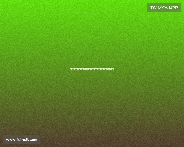 英超最新伤情报告：多名主力缺阵影响争冠形势各队应对策略分析