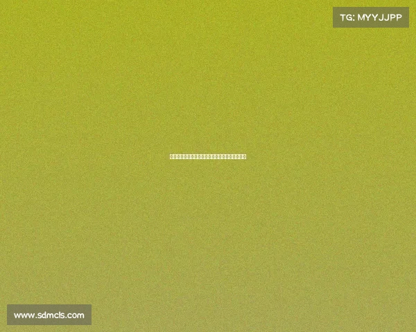 足球俱乐部引援资金使用方案分析与优化策略探讨